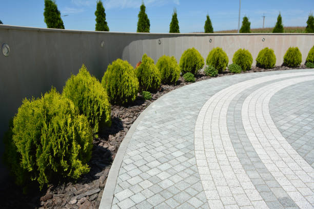 Best Paver Driveway Replacement  in Flower Mound, TX